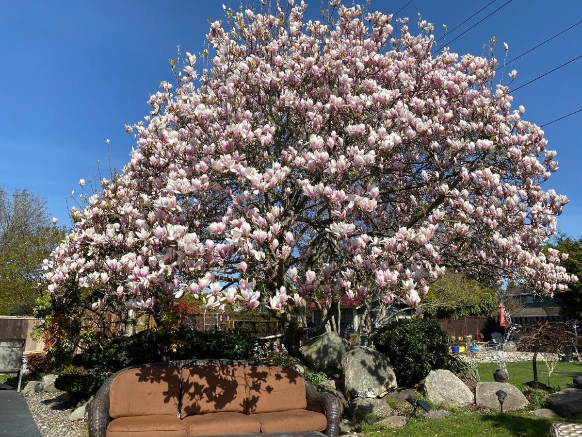 Xanadu 世外桃源 Villa Tsawwassen Luaran gambar